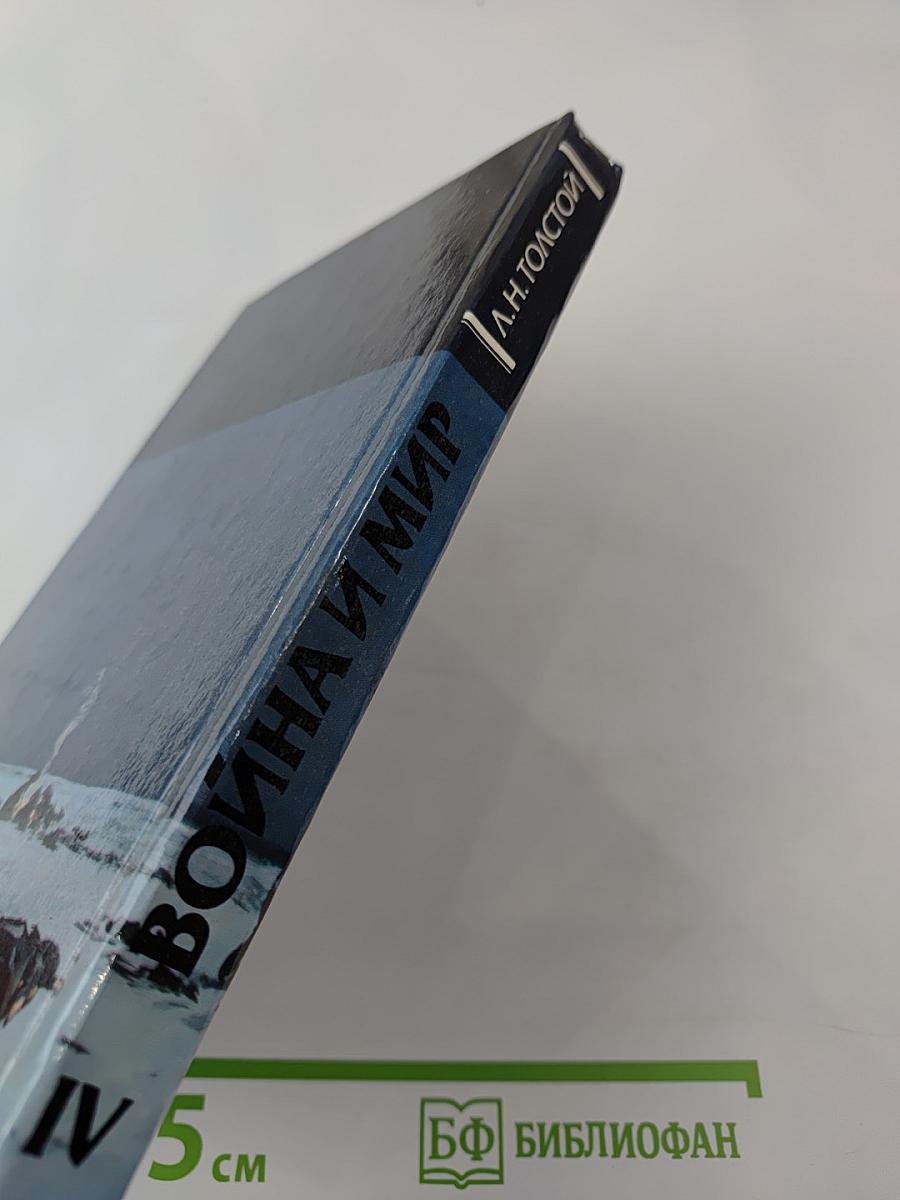 Война и мир, Том четвертый