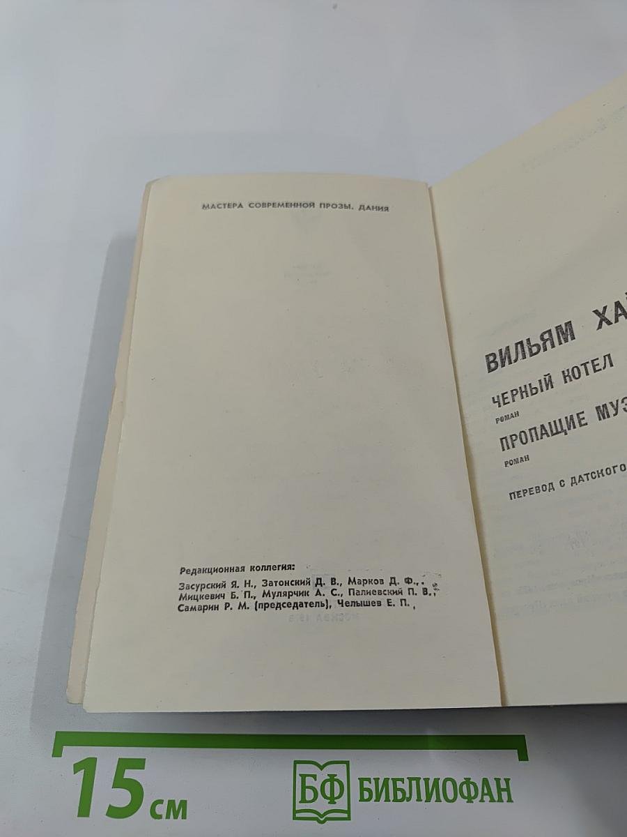 Вильям Хайнесен. Черный котел. Пропавшие музы