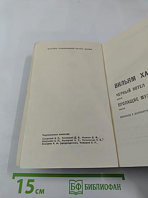 Вильям Хайнесен. Черный котел. Пропавшие музы