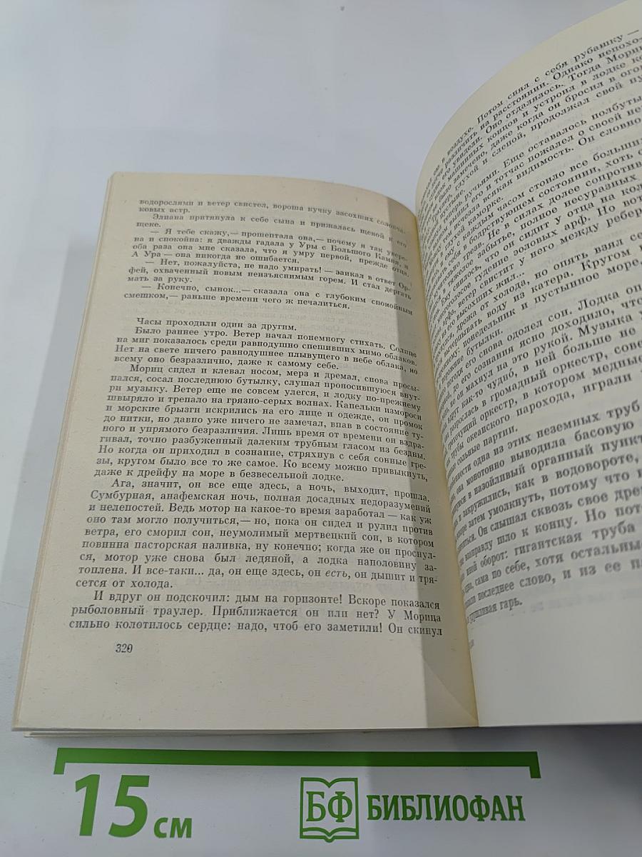 Вильям Хайнесен. Черный котел. Пропавшие музы