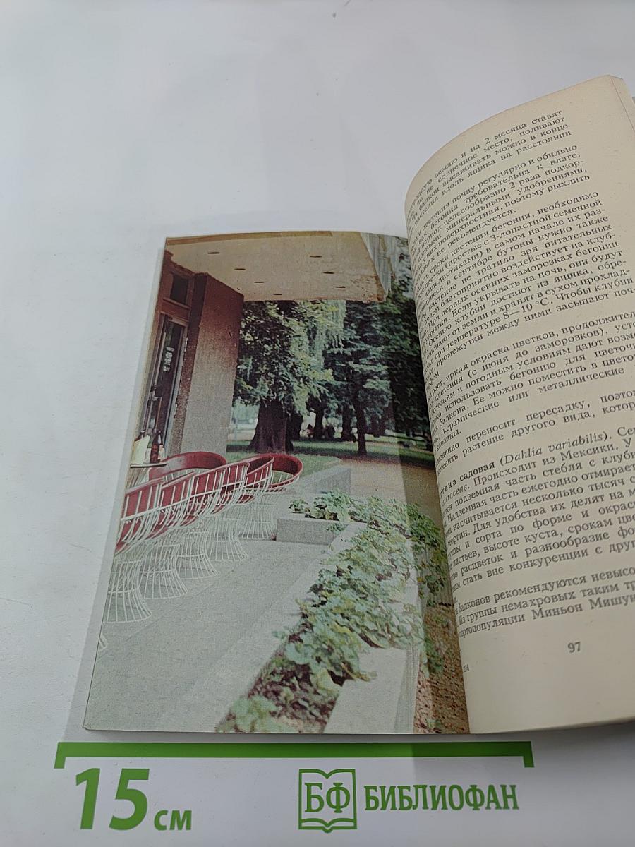 Зеленые оазисы дома и на работе