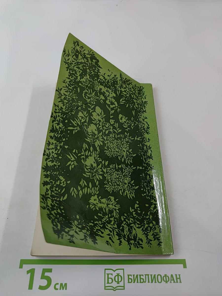 Зеленые оазисы дома и на работе