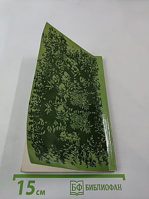 Зеленые оазисы дома и на работе