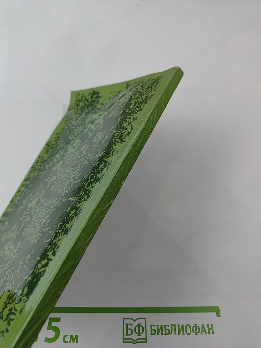 Зеленые оазисы дома и на работе