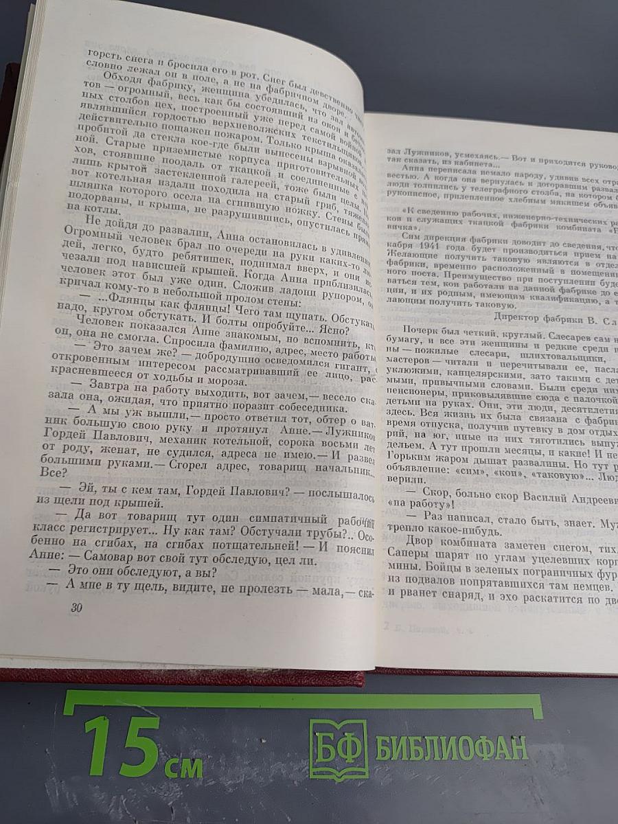 Собрание сочинений. Том четвертый. Глубокий тыл