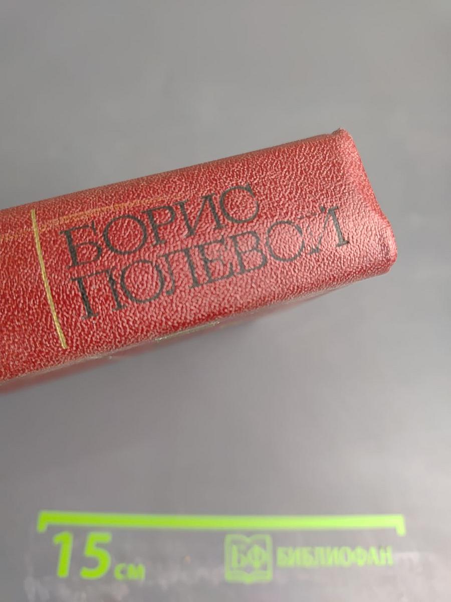 Собрание сочинений. Том четвертый. Глубокий тыл