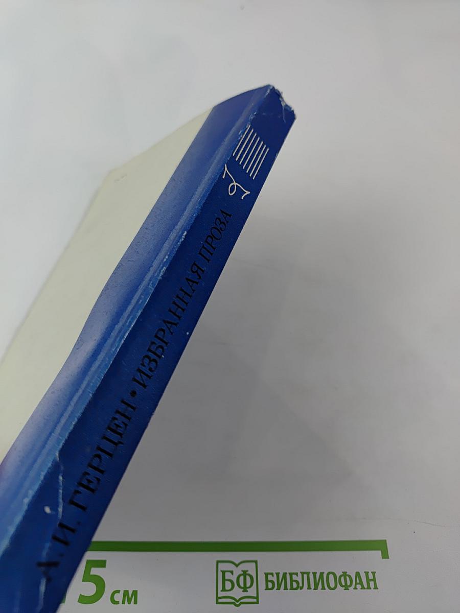 Избранная проза