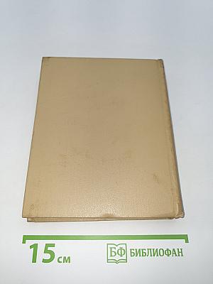Одеты камнем