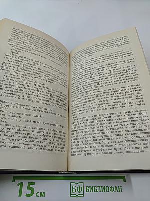 Собрание сочинений. Том пятый: Торговка и поэт; Возьму твою боль