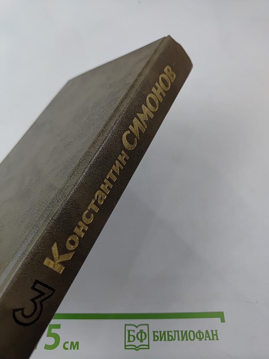 Живые и мертвые. Книга третья. Последнее лето