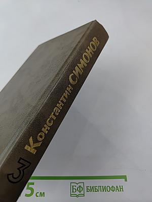 Живые и мертвые. Книга третья. Последнее лето