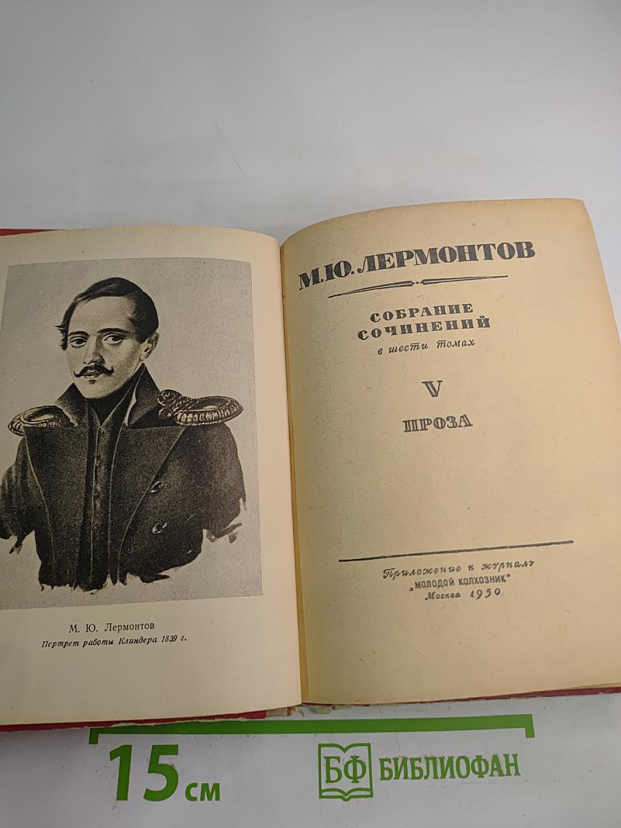 Собрание сочинений в шести томах. Том V. Проза