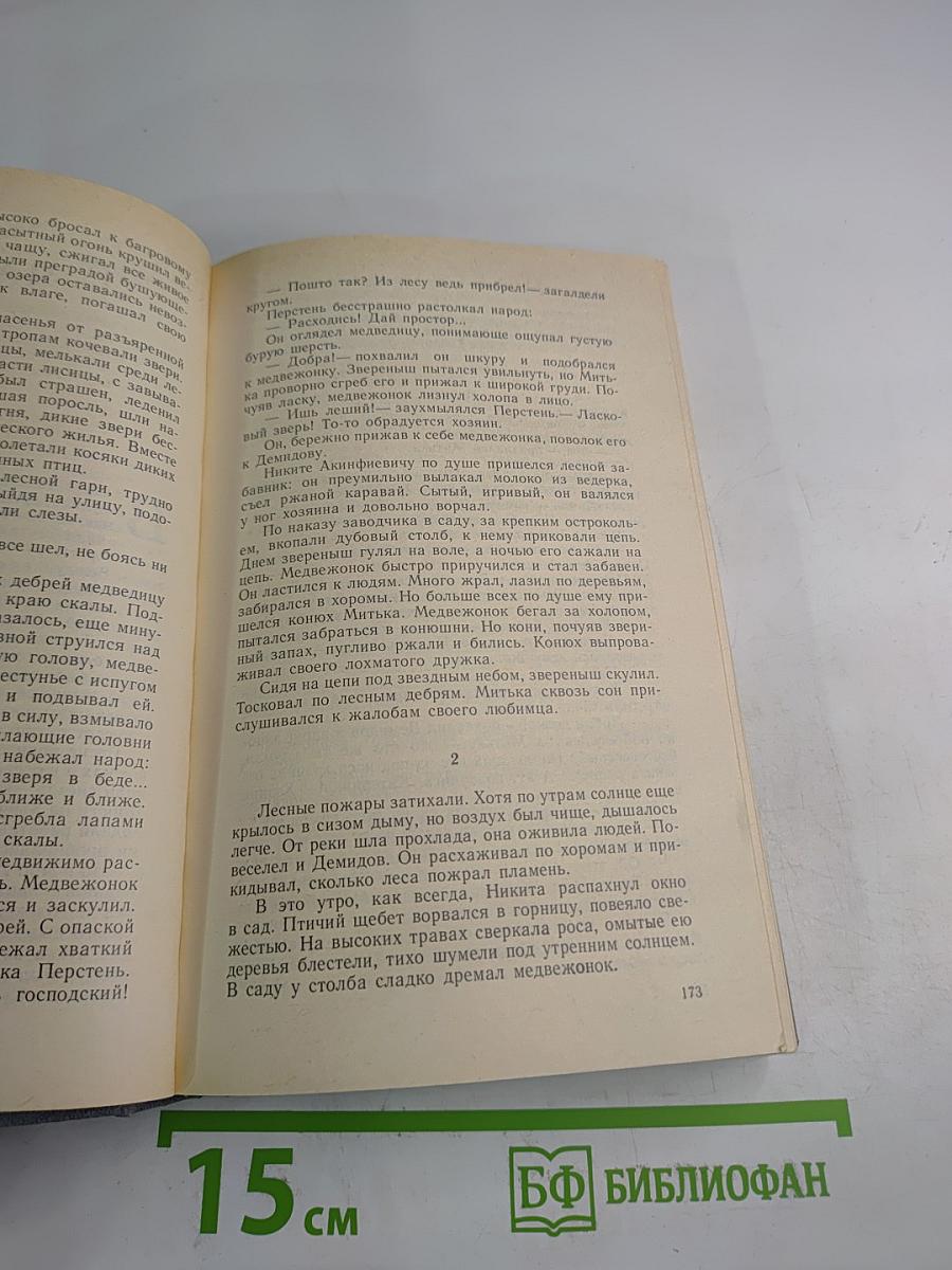 Каменный пояс. Книга вторая. Наследники