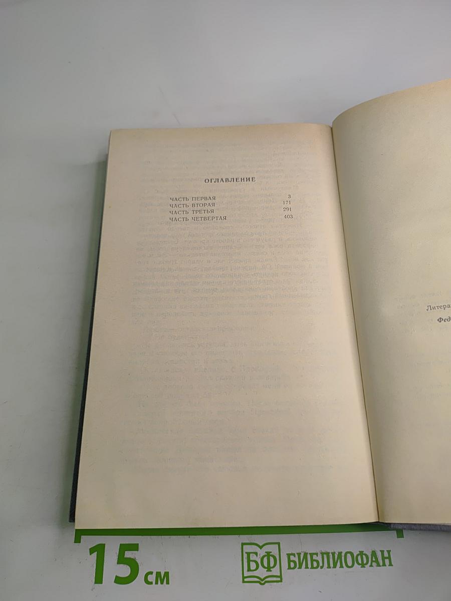Каменный пояс. Книга вторая. Наследники