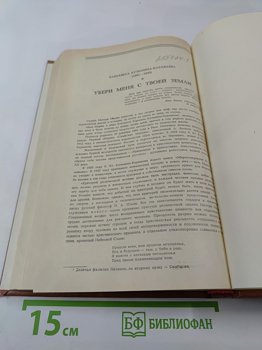 Публикации и сообщения по русской литературе