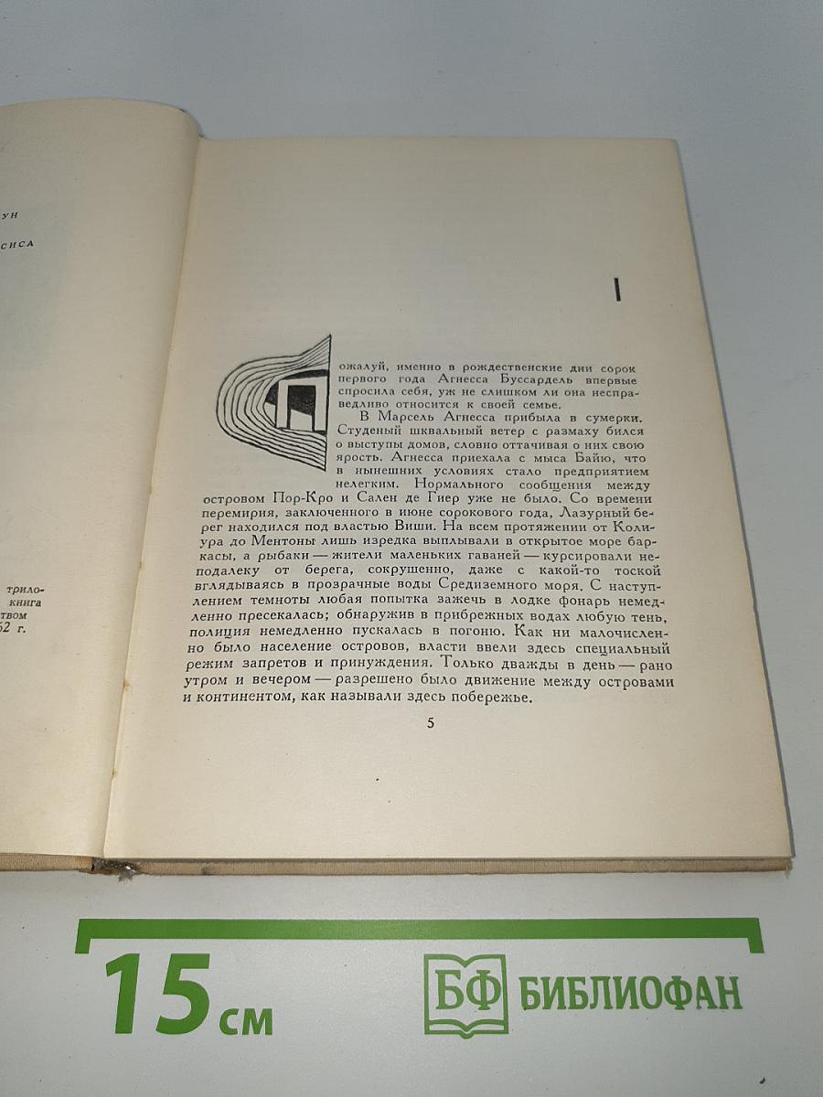 Золотая решетка