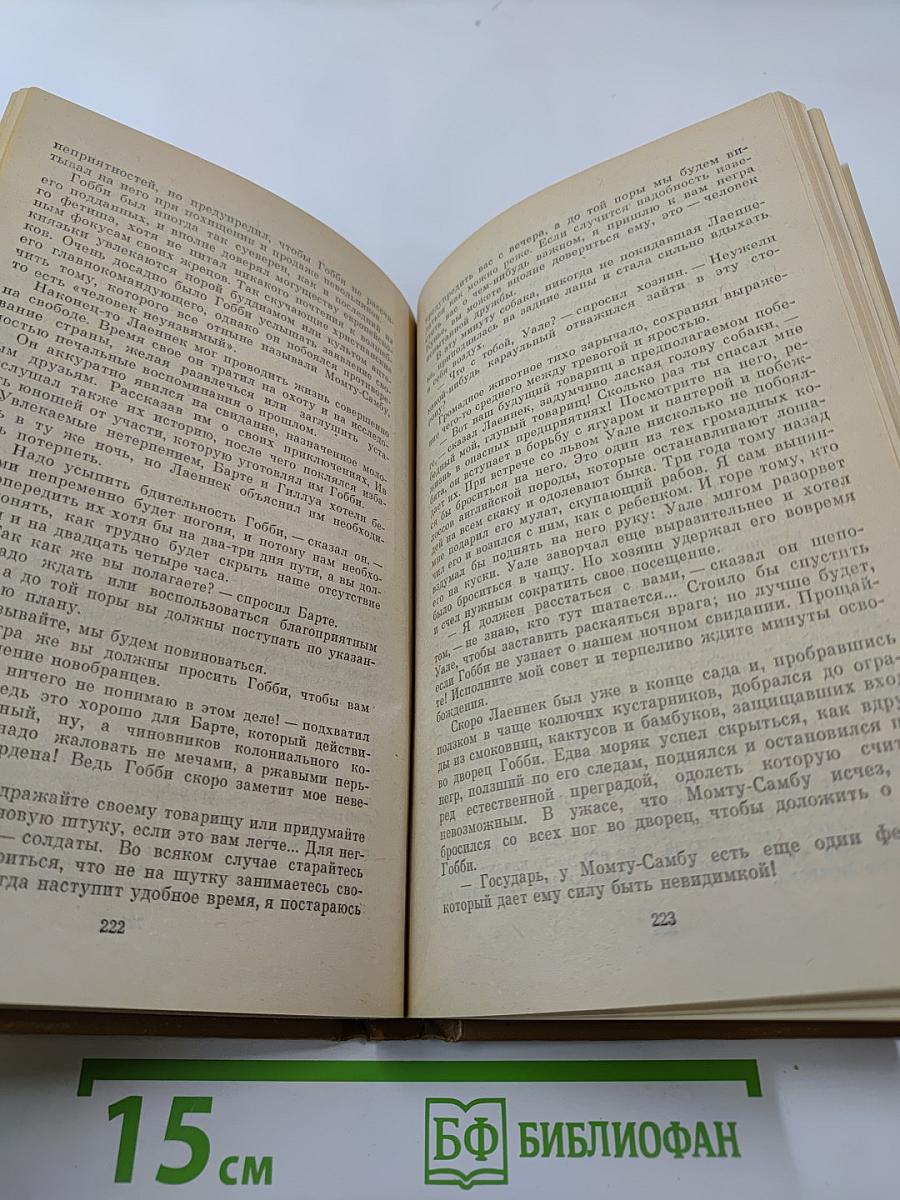 Черный штурман