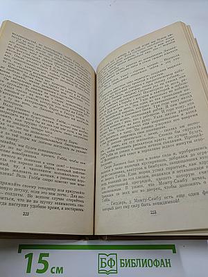 Черный штурман