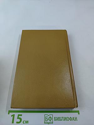 Черный штурман