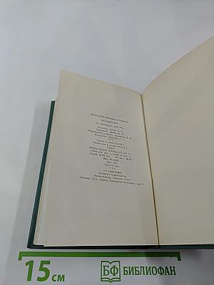 Весы мечтаний