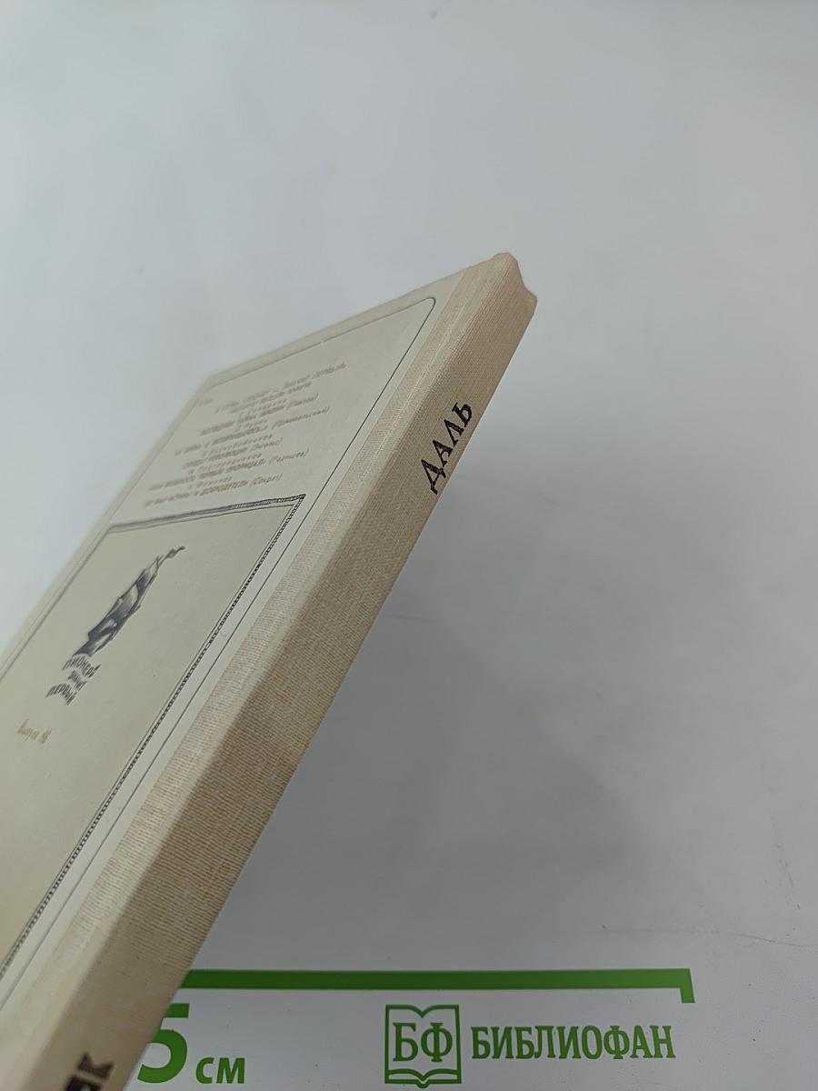 Жизнь и слово