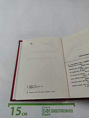 Витражных дел мастер