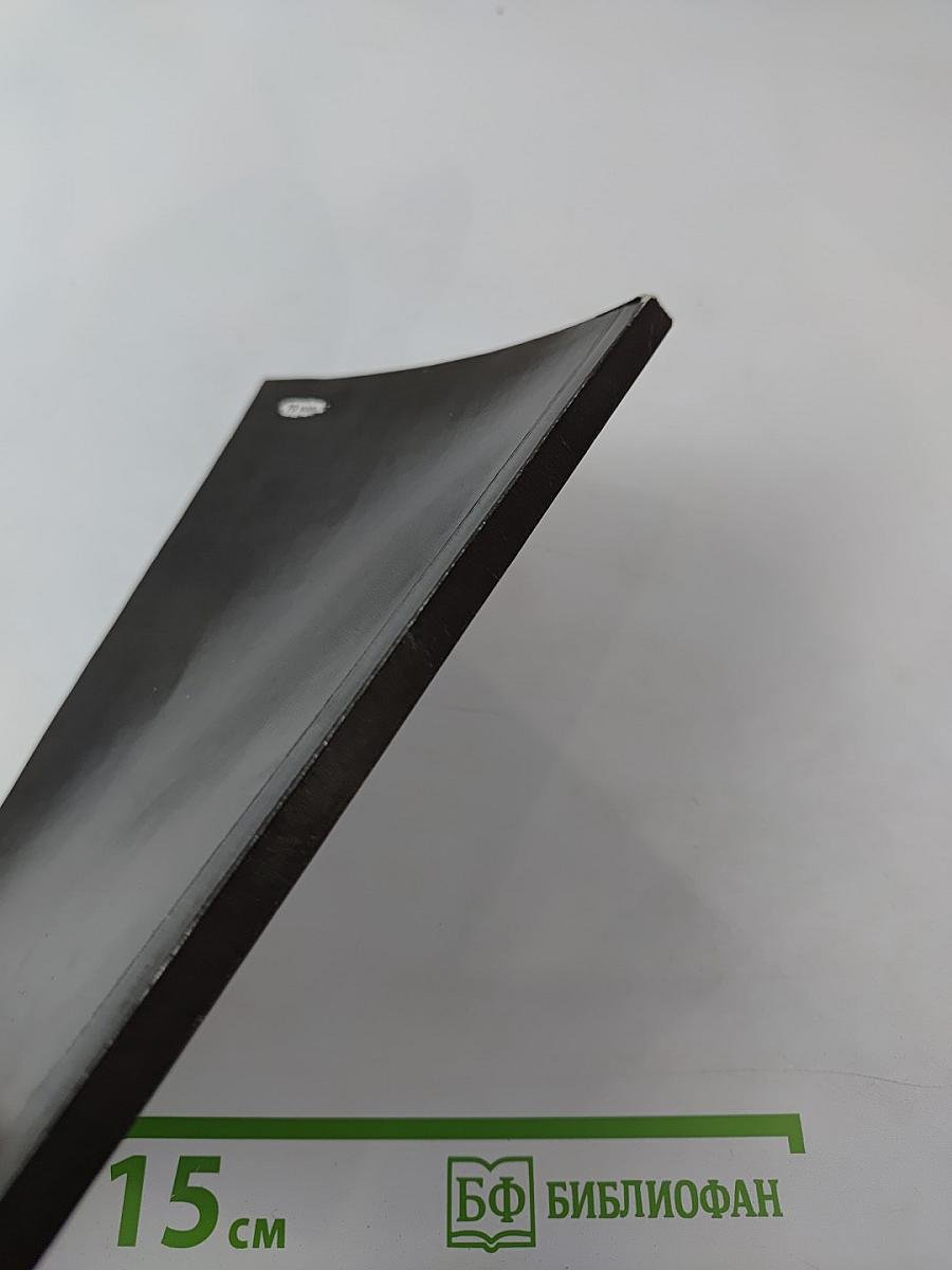 Своевременные мысли, или Пророки в своем отечестве