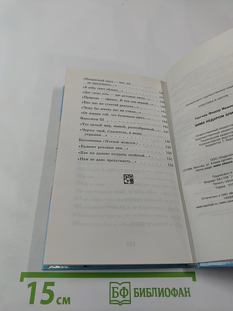 Зима недаром злится...