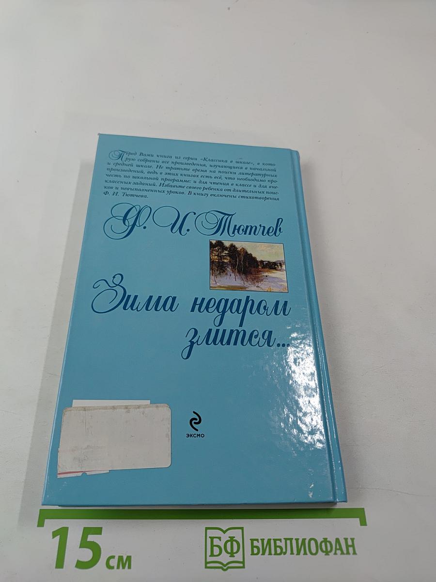 Зима недаром злится...