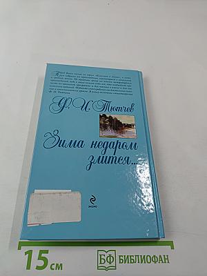 Зима недаром злится...