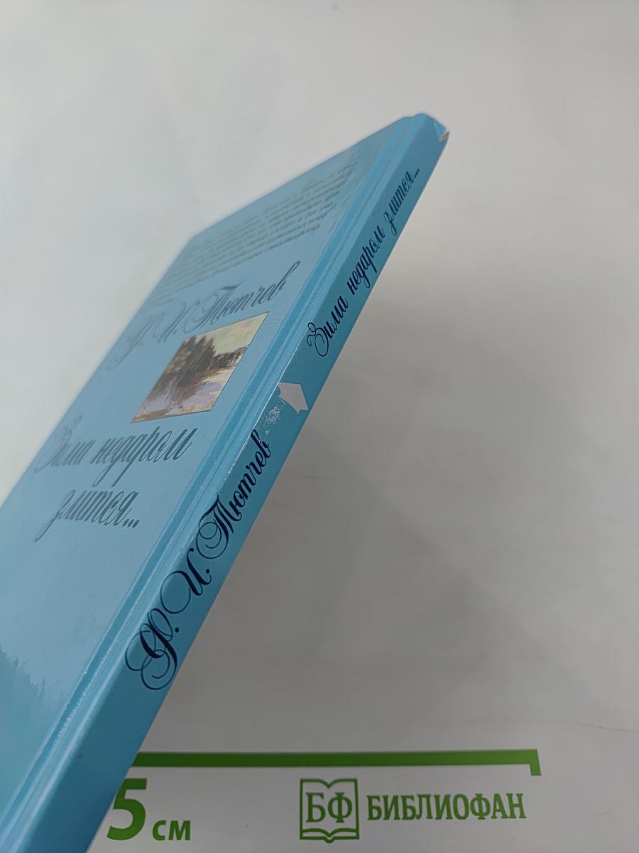 Зима недаром злится...