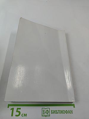 Проблемы безопасности детей и пути их решения. Материалы Первой Всероссийской научно-практической конференции