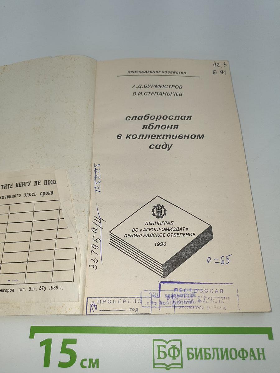 Слаборослая яблоня в коллективном саду