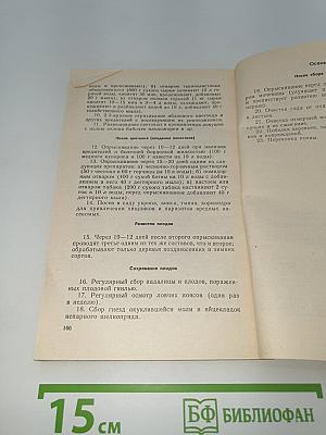 Слаборослая яблоня в коллективном саду