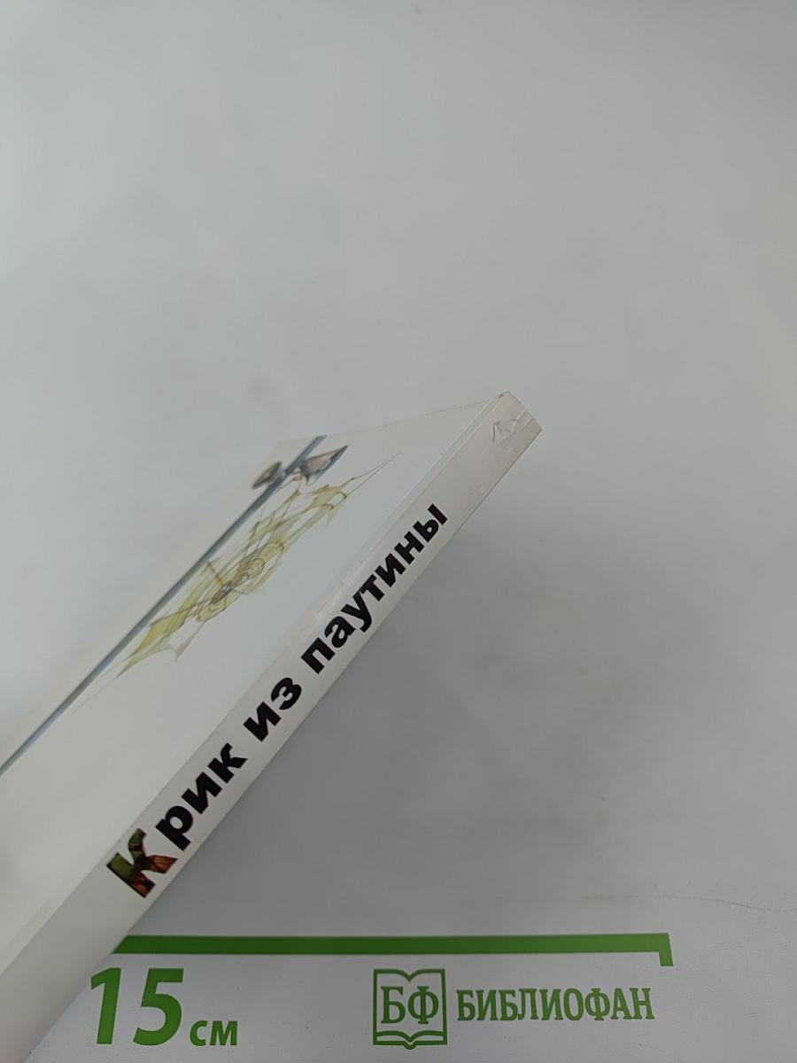 Крик из паутины