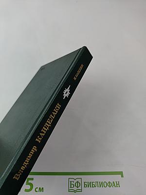 Владимир Канделаки