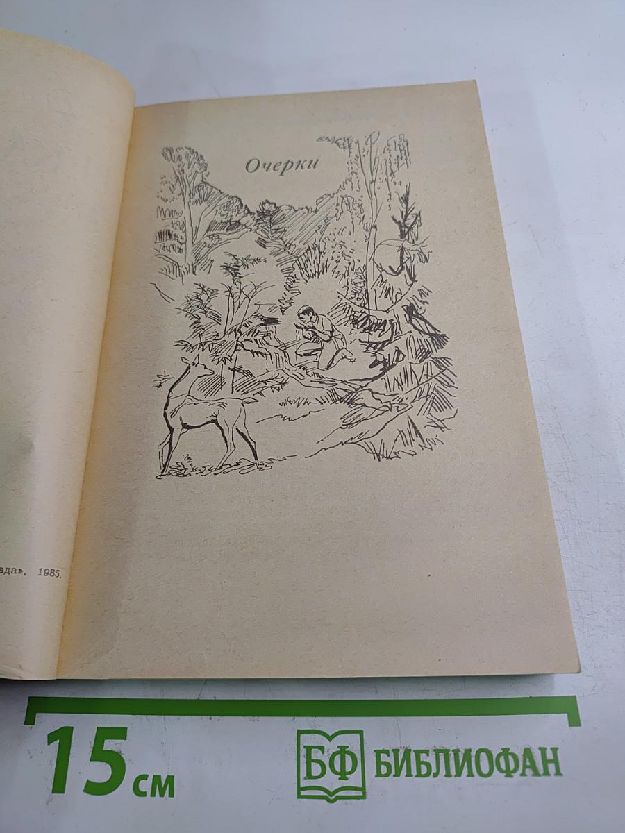 Река времен