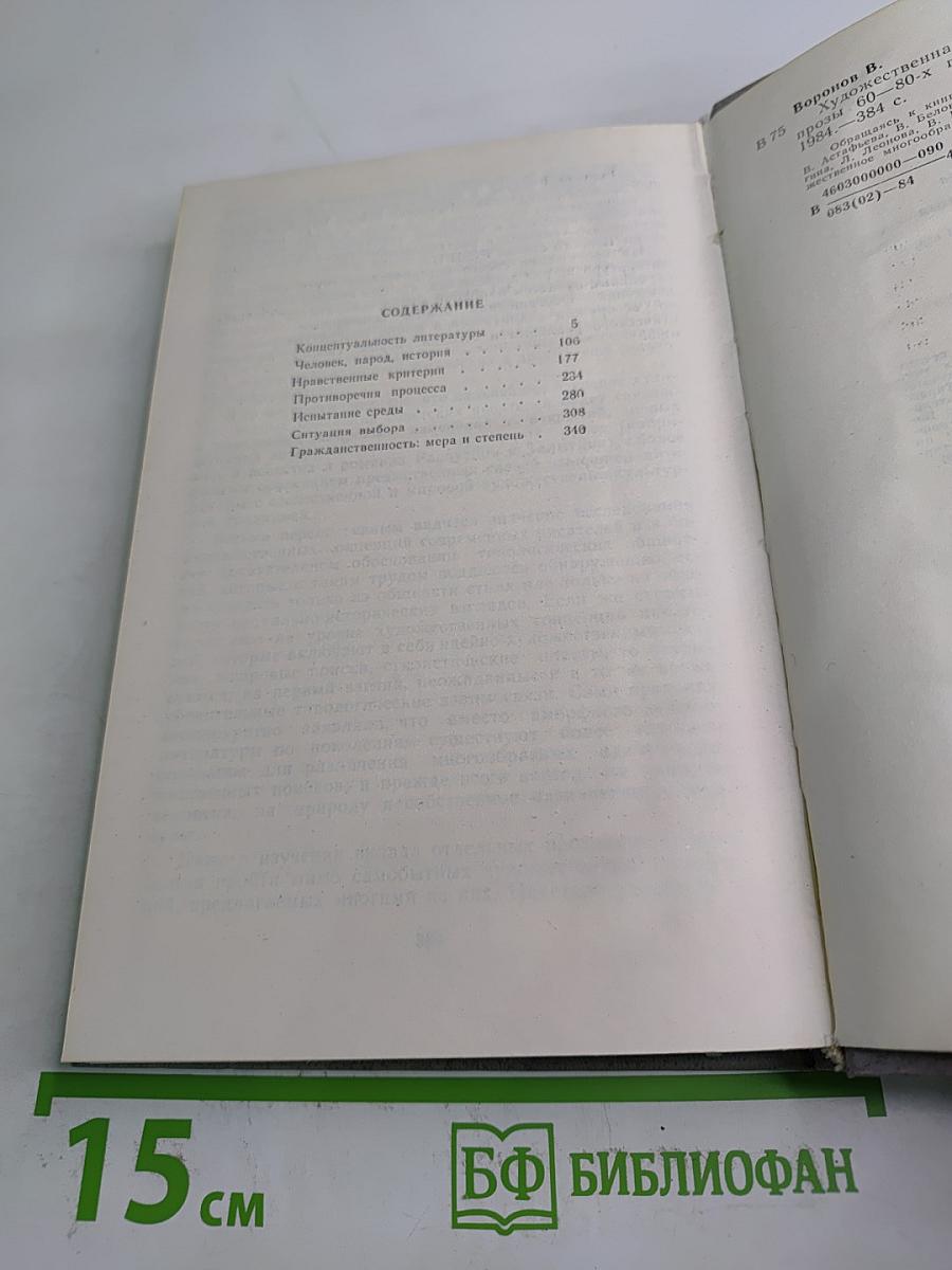 Художественная концепция