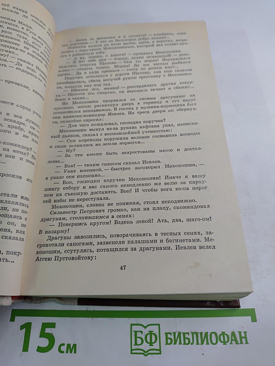 Россия молодая. Книга вторая