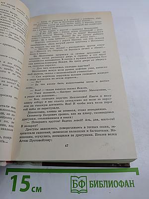 Россия молодая. Книга вторая