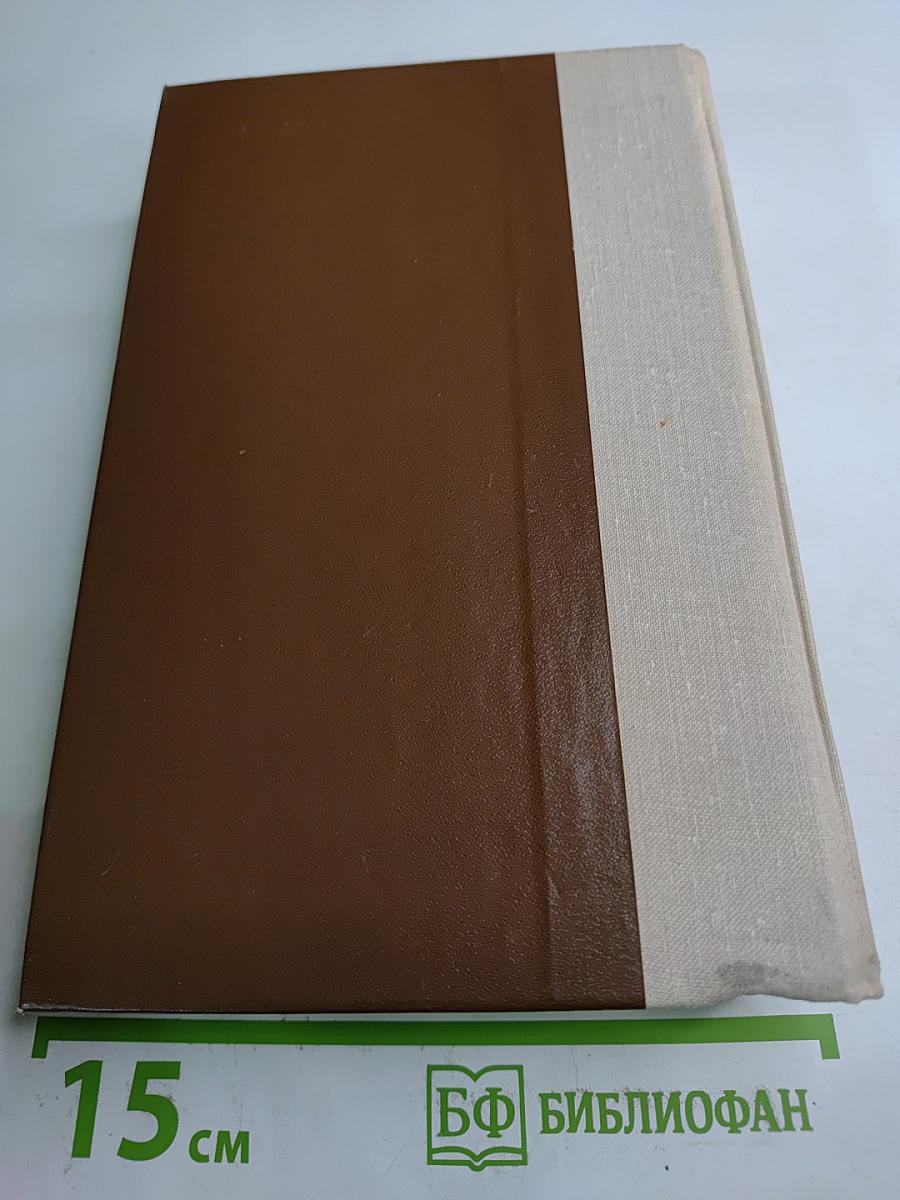 Россия молодая. Книга вторая