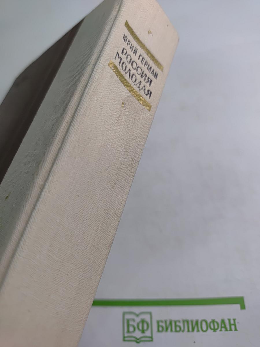 Россия молодая. Книга вторая