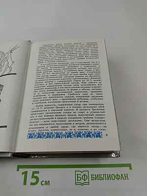 Алкогольные напитки