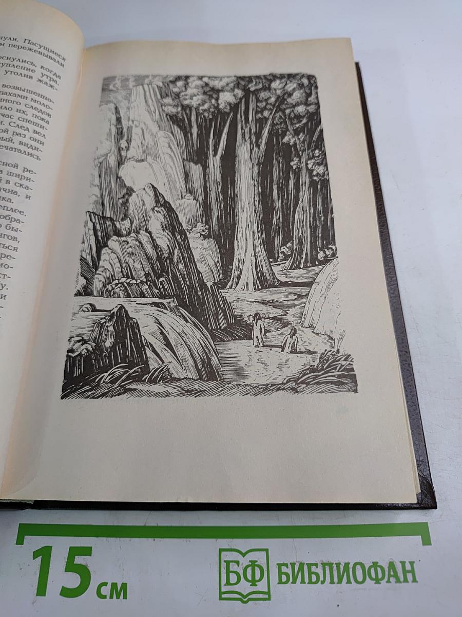 Топ и Гарри