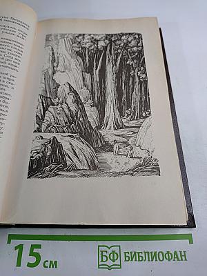 Топ и Гарри