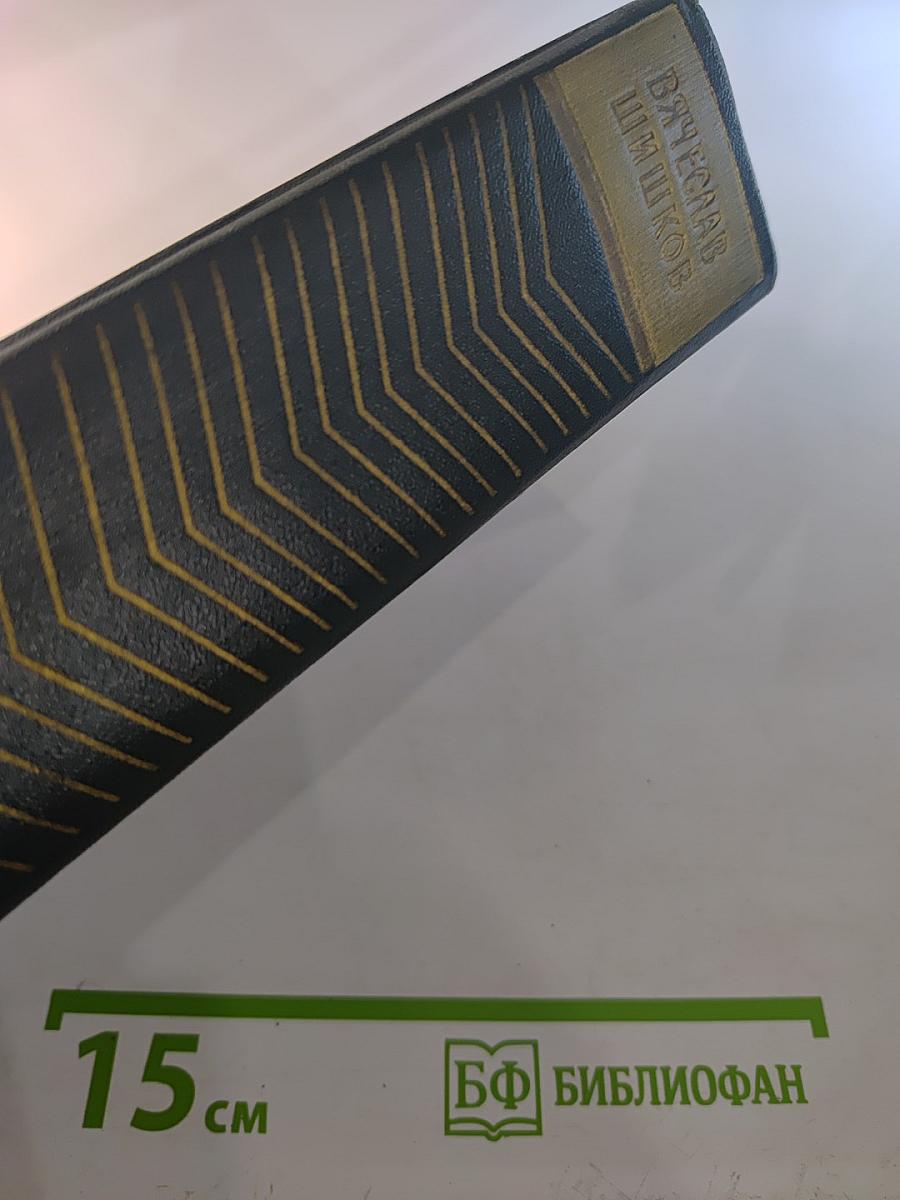 Собрание сочинений. Том седьмой. Емельян Пугачев. Книга вторая