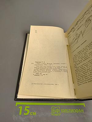 Стар и млад