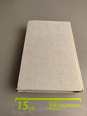 Крестоносцы