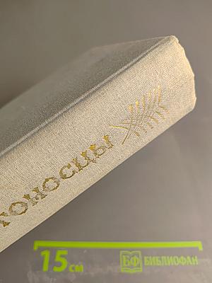 Крестоносцы