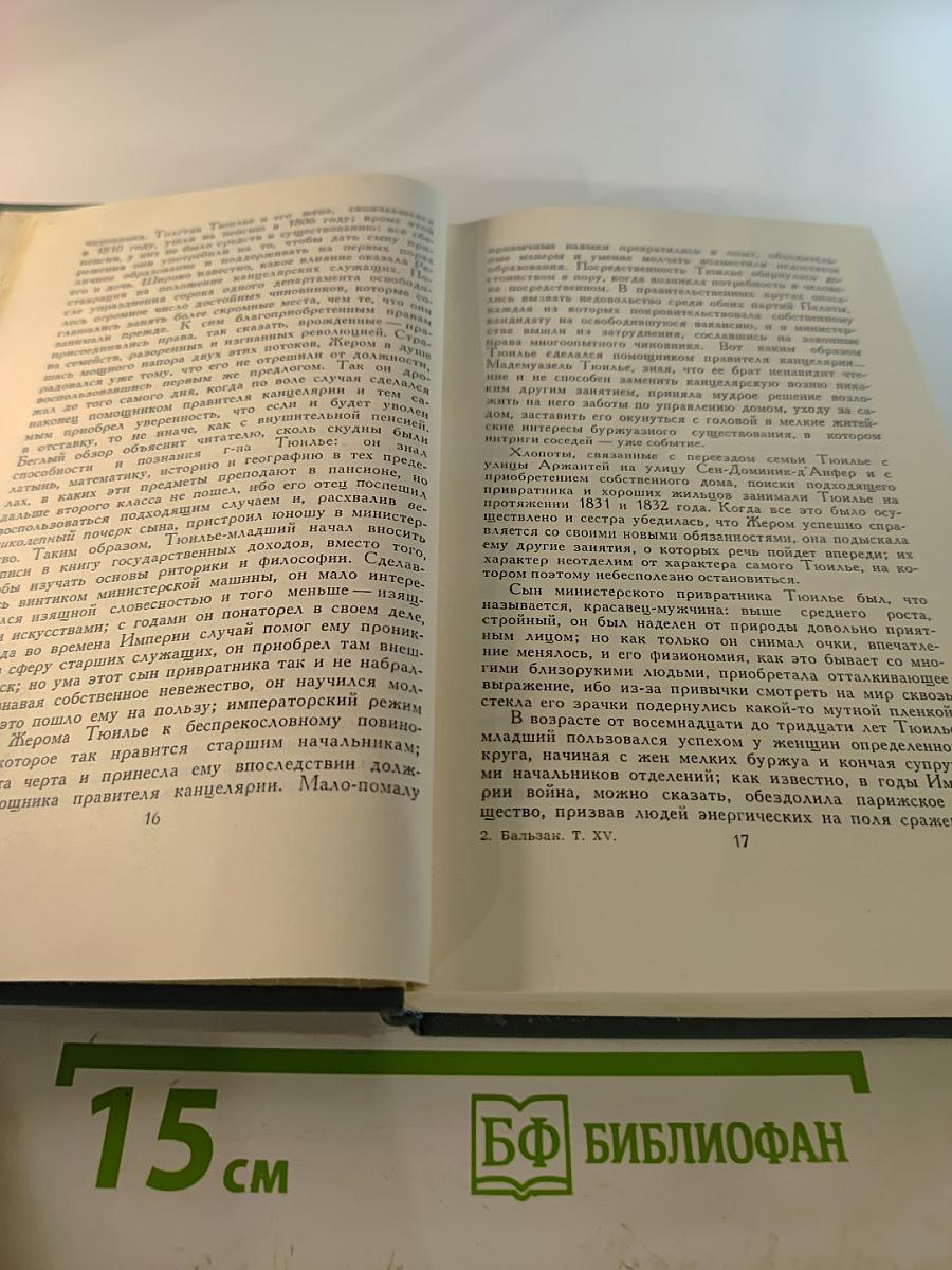 Человеческая комедия. Том 15